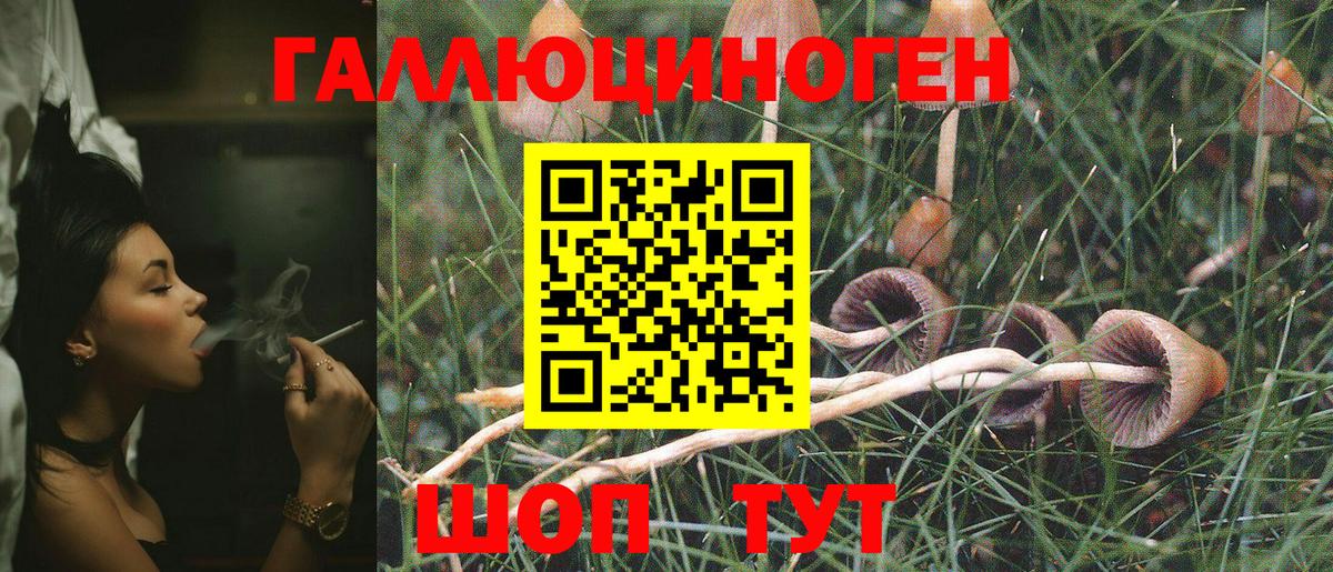 купить   Галлюциногенные грибы Cubensis  Вышний Волочёк  Вход с VPN  Галлюциногенные грибы GOLDEN TEACHER 